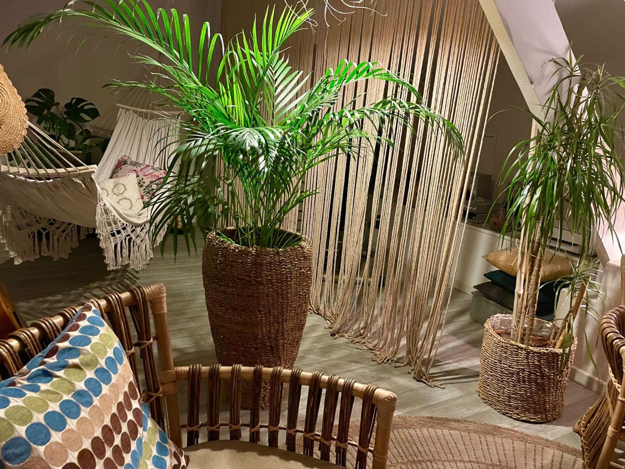 Chambre Boheme Chez Rachel Pau Luaran gambar